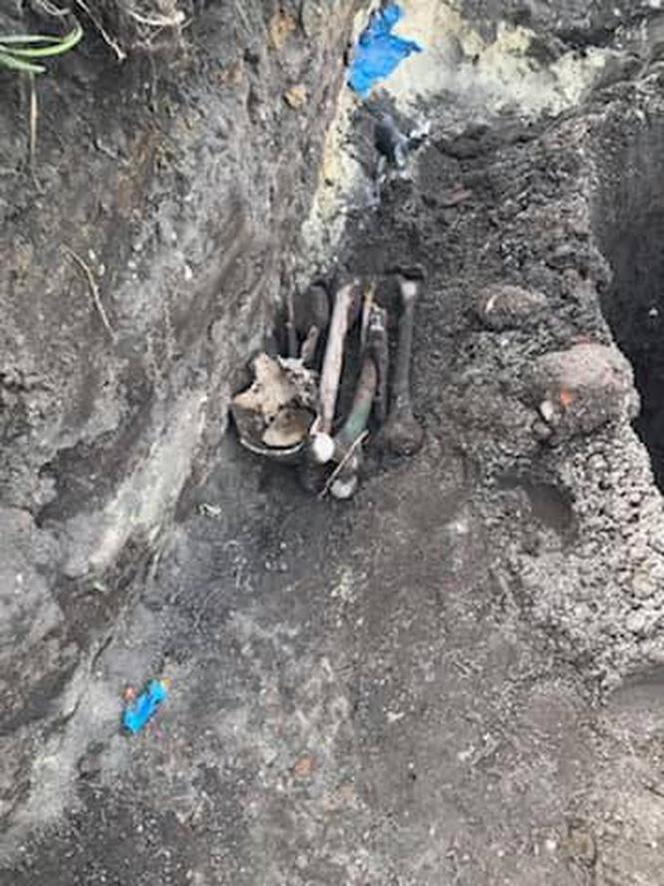 Wrocław. Ludzkie szczątki przy Alei Wielkiej Wyspy. Archeolog zabiera głos 