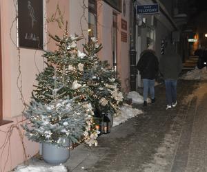 Świąteczne iluminacje i choinki w centrum Kielc
