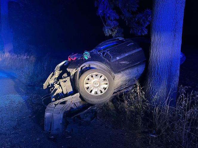 ​Samochód osobowy uderzył w drzewo. Groźny nocny wypadek w Lesznie