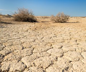 To największa katastrofa ekologiczna w dziejach. Każdy podmuch wiatru jest potencjalnym atakiem chemicznym