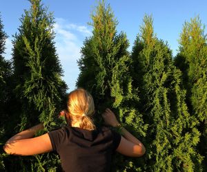 Wiosną odkręć węża i skieruj go na tuje w ogrodzie. Będą rosły zielone i równe. Pielęgnacja tui po zimie