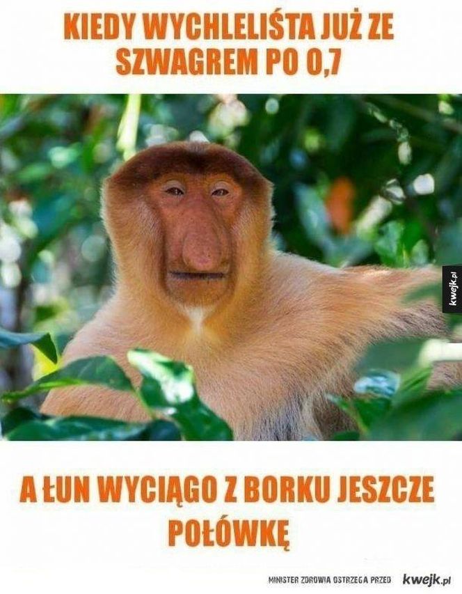 Memy na Dzień Szwagra 