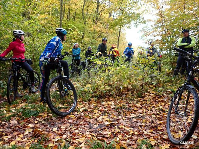 Wyprawa szlakami elbląskiej Bażantarni. Ostatni rowerowy spacer z leśnikiem