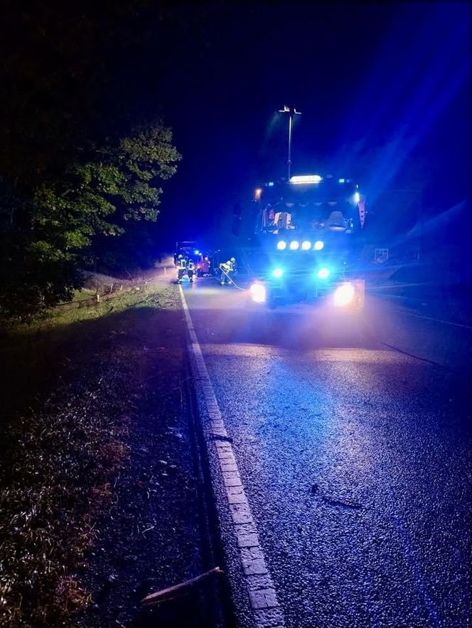 Drzewo runęło na jadący samochód! O krok od tragedii na DK 10 pod Bydgoszczą