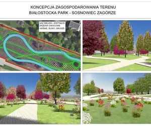 Zagłębie doczeka się nowego parku. Powstanie wzdłuż linii tramwajowej