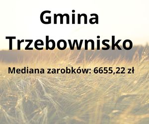 W tych gminach na Podkarpaciu zarabia się najwięcej 