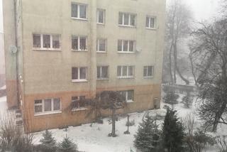 Pogodowy armagedon w województwie śląskim. Zamieć śnieżna przechodzi przez Śląsk!