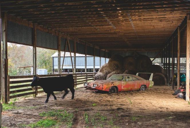 1969 Dodge Charger Daytona