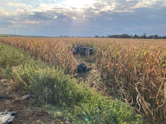 Tragiczny wypadek na DW 434 w pow. gostyńskim. Czołowe zderzenie dwóch samochodów [FOTO]