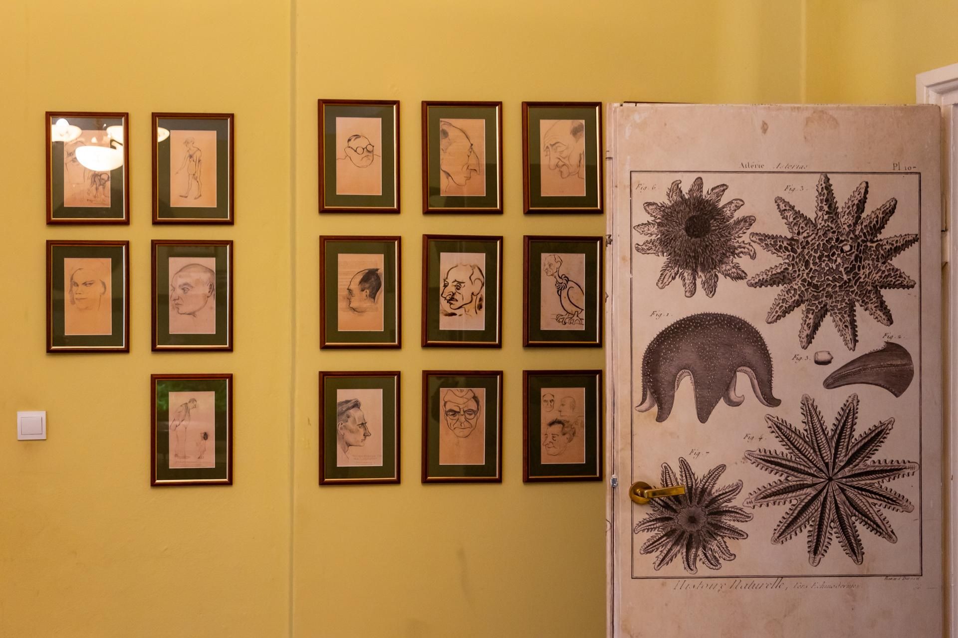 Willa Żabińskich w warszawskim ZOO czyli willa Pod Zwariowaną Gwiazdą