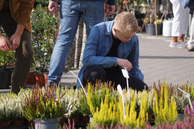 Jesienny Kiermasz Ogrodniczy 2023. Tłumy przy bydgoskim "Torbydzie" [ZDJĘCIA]