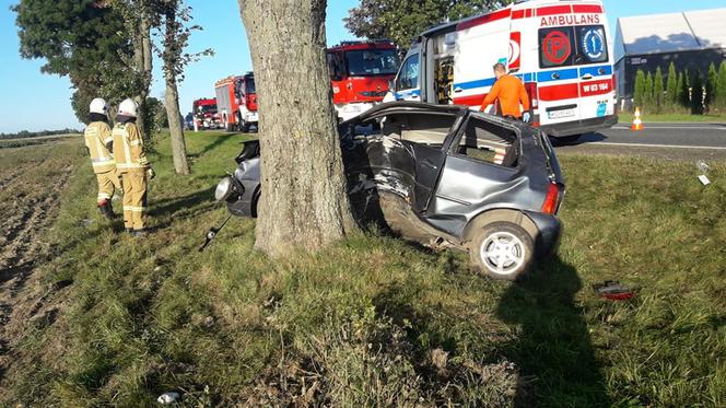 Mieszkanka Płocka rozbiła się o drzewo! Chciała uniknąć czołowego zderzenia