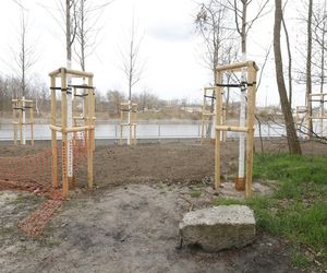 W Warszawie powstaje drugie lapidarium. Miasto nie usunie betonowych odpadów. To artefakty