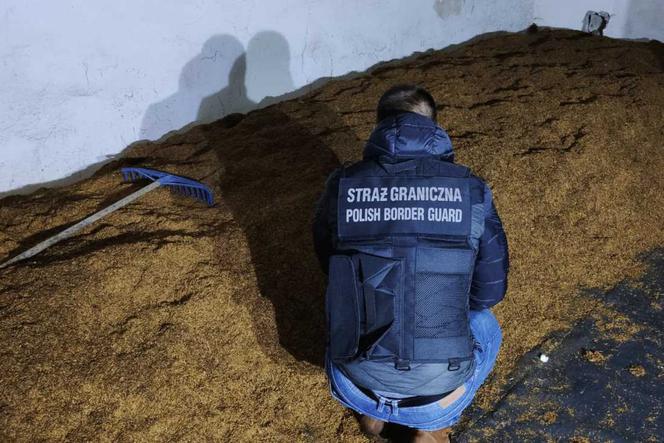 Podkarpaccy funkcjonariusze Straży Granicznej rozbili gang tytoniowy