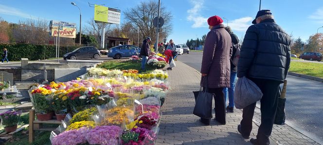 Przygotowania do Wszystkich Świętych Zamość