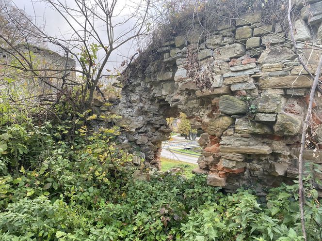 Zamek w Dąbrówce Starzeńskiej