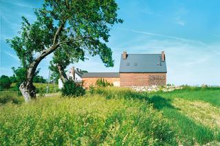 Szary dach w zieleni