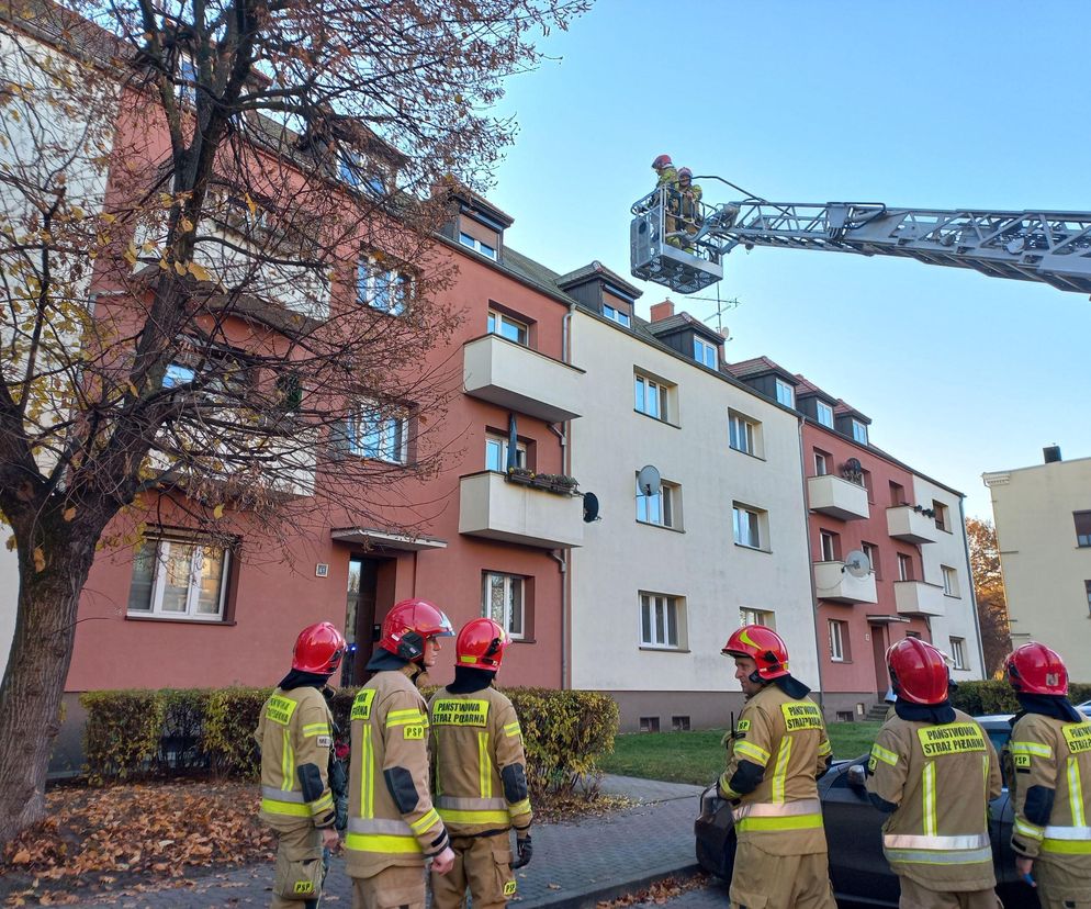 Zgłoszenie o pożarze na Dąbrowskiego w Lesznie. Pożaru nie było