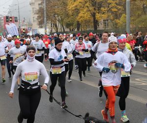 Bieg Niepodległości RUNPOLAND w Poznaniu