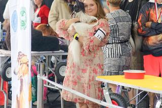 Wystawa psów w Szczecinie 