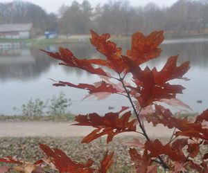 Dolina Silnicy i Zalew Kielecki jesienią