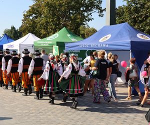 W centrum Lublina królował róż! Przez miasto przeszedł Marsz Różowej Wstążki