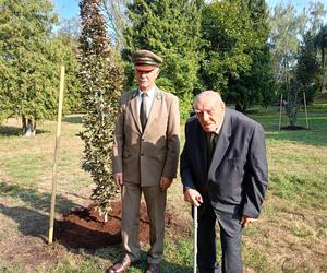 Trzy młode buki purpurowe na Skwerze Leśników Polskich wspólnie zasadzili pracownicy Nadleśnictwa Siedlce i Lasów Państwowych, władze miasta Siedlce i radni.