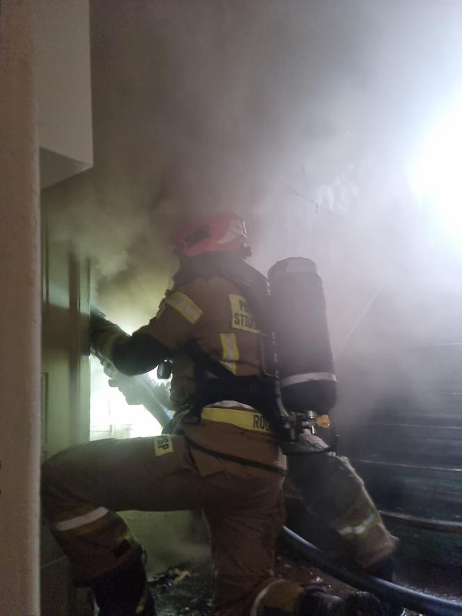 Pożar mieszkania w Toruniu. Dwie osoby w szpitalu, osiem zastępów straży w akcji