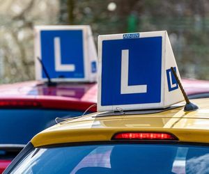 Duże zmiany dla posiadaczy prawa jazdy. Ministerstwo Cyfryzacji rozpoczyna pilotażowy program