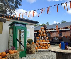Jesienna atrakcja dla całej rodziny. Zabytkowa stacja w Rudach zaprasza na Pumpkin Express