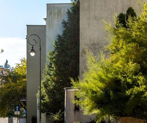 Osiedle Strzecha Urzędnicza w Warszawie