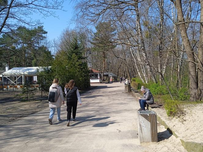 Mieszkańcy korzystają ze słonecznej pogody. Na plaży w Jelitkowie widać już pierwszych spacerowiczów!