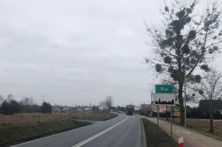 Nowa obwodnica na Mazurach. Ogłoszono przetarg