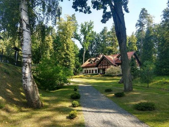 Leśne Arboretum w Kudypach. Jedno z piękniejszych miejsc na Warmii [ZDJĘCIA]