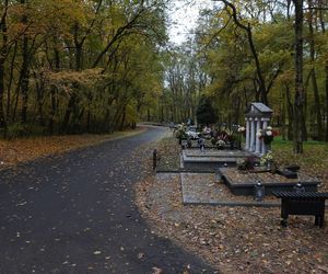 Cmentarz na Miłostowie na kilka dni przed dniem Wszystkich Świętych 