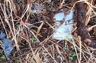 Morskie Oko zaśmiecone jak nigdy. To sprawka turystów. TPN opublikował zdjęcia.