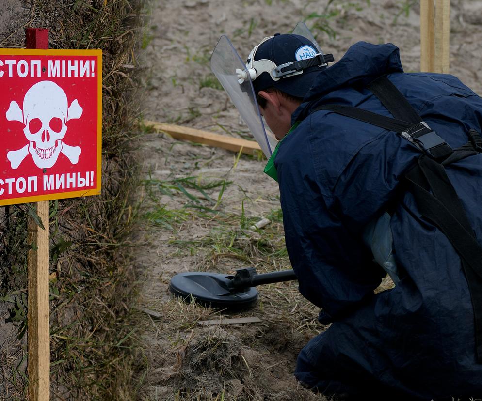 USA/ Mechaniczny pies-saper amerykańskiej armii pomoże oczyszczać Ukrainę z niewybuchów