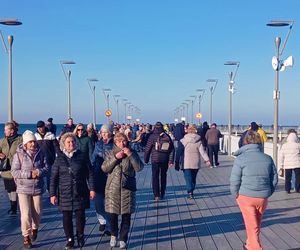 Nad Bałtykiem dzieje się coś niezwykłego!