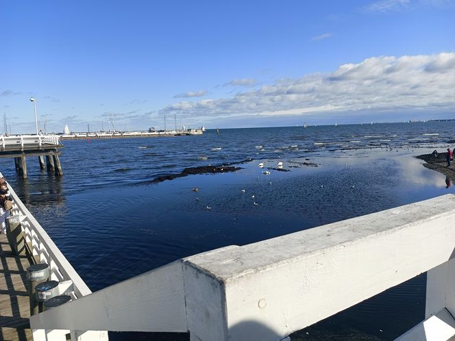 Polskie wybrzeże poza sezonem. Te plaże warto odwiedzić jesienią i zimą 