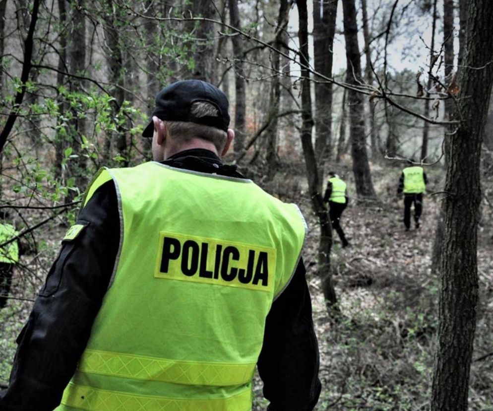 Katowice: 80-letni mężczyzna wyszedł na grzyby. Jego ciało znaleziono w Szopienicach