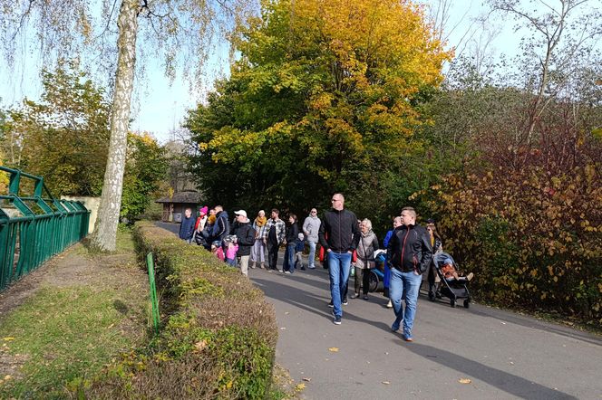 Gdański Ogród Zoologiczny jesienią