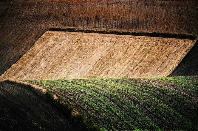 Jesień na polach Roztocza