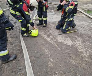 Ogromny pożar kurnika pod Olsztynem. W akcji udział brało aż 18 zastępów straży pożarnej [ZDJĘCIA]