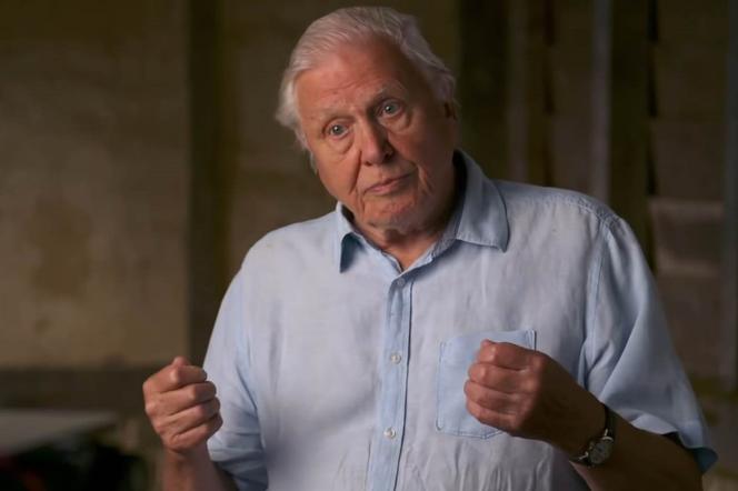 David Attenborough wykluczył z diety jeden produkt. To sekret jego długowieczności