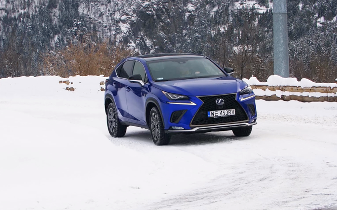 Lexus NX 300h AWD F Sport