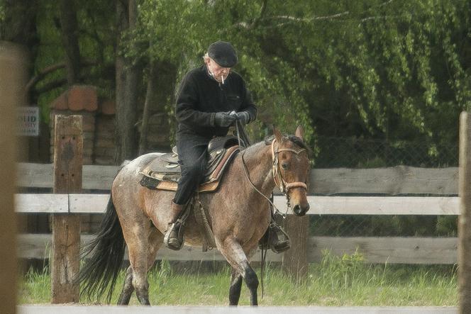 Daniel Olbrychski: Kowboj z Podkowy Leśnej