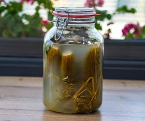 Uważaj na koper do kiszenia ogórków. Zły wybór może zepsuć cały słój