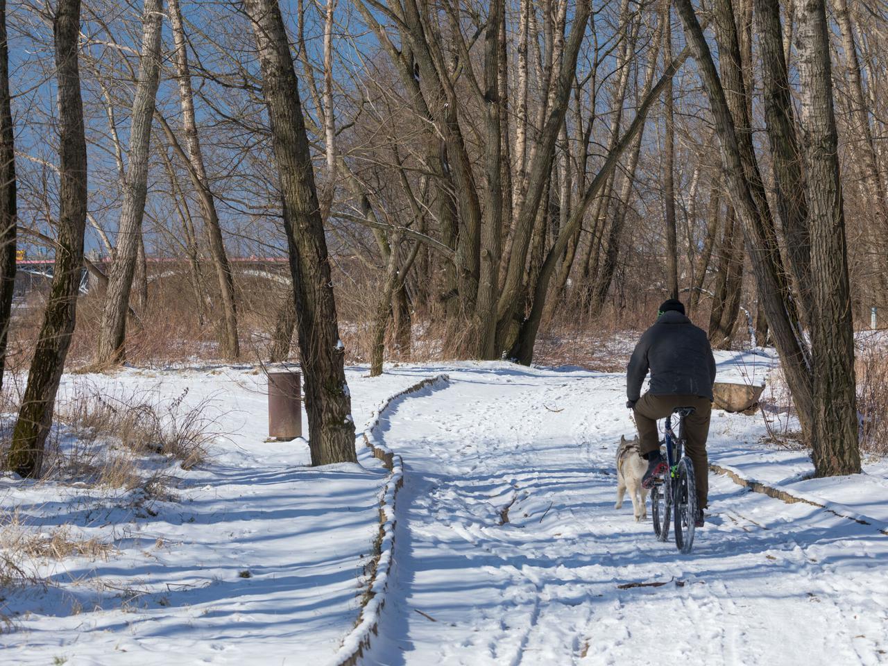 Pogoda STYCZEŃ 2022 długoterminowa: jeszcze WIĘKSZY mróz i deszcze. Szokująca prognoza
