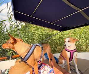 Ola Kwaśniewska chlapie się w jeziorze