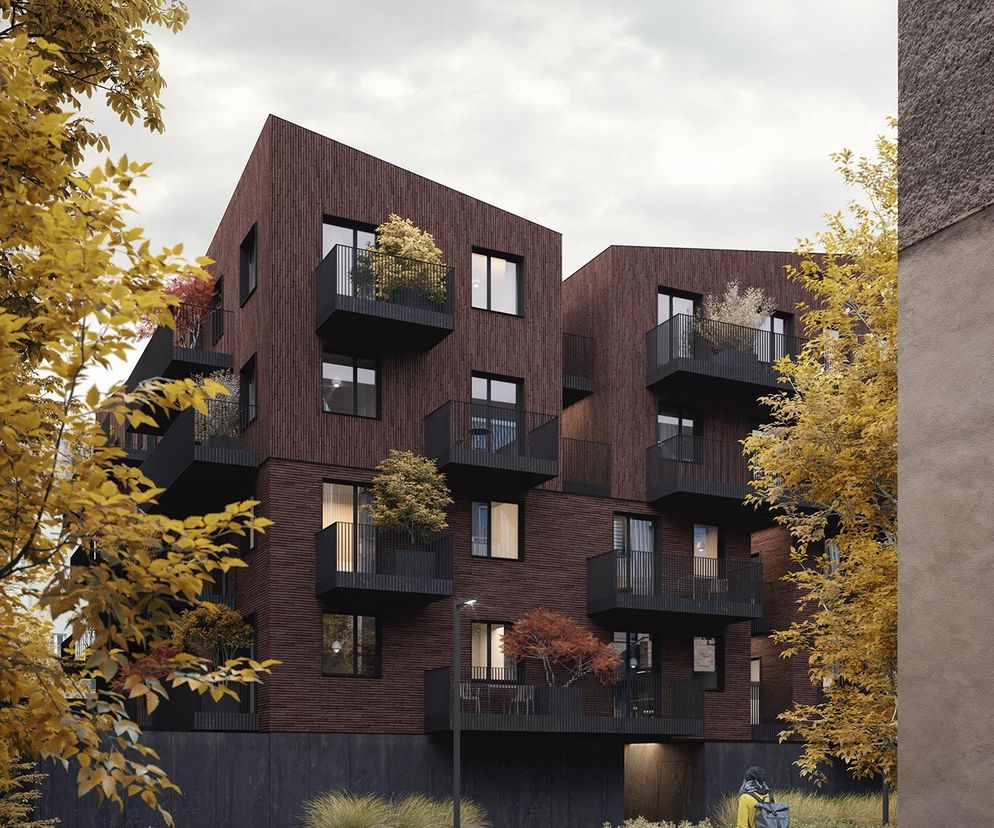 W Zabrzu powstaje pierwsza drewniana mieszkaniówka w Polsce. Habitat 19